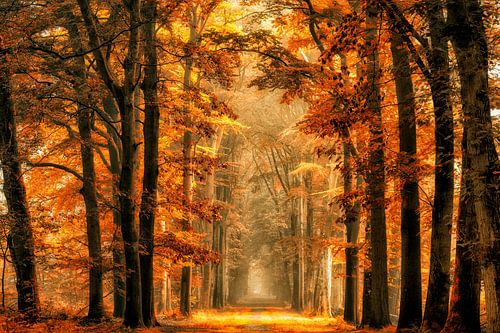 Beenden Sie das Portal