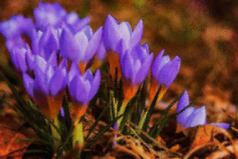 FLORA : LILA BLUMEN LIEBE von Photoart-Naegele