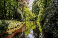 Waterpartij Gooilust