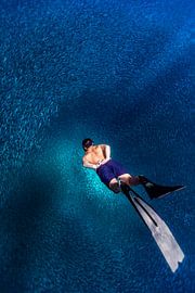 Plongeur libre parmi les Silver Storm