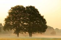 Moment of silence von Marcel van Rijn Miniaturansicht