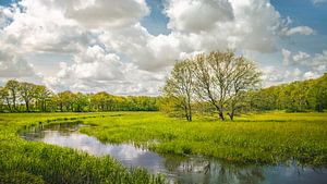 Drentsche Aa