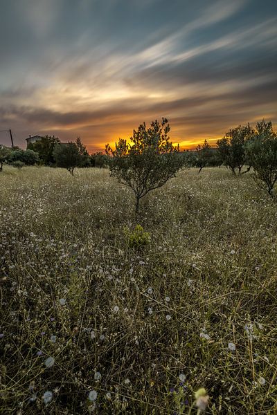 Sunset in a French landscape by Tim Laan