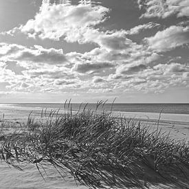 B&W Strände Sammlung Karen van de Kerkhove von Karen van de Kerkhove