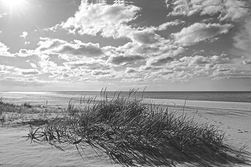 B&W Stranden Collectie Karen van de Kerkhove