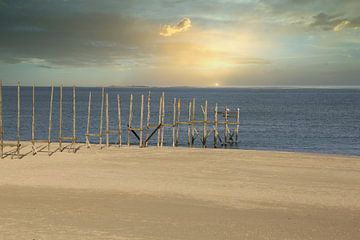 Texel von Jose Lok