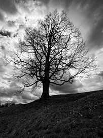 Achtergrondverlichting