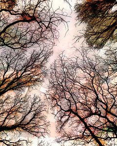 Abstrakte Wald Landschaft im Herbst