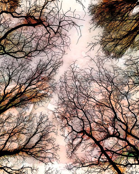 Abstract Forest Landscape in Autumn by Mad Dog Art