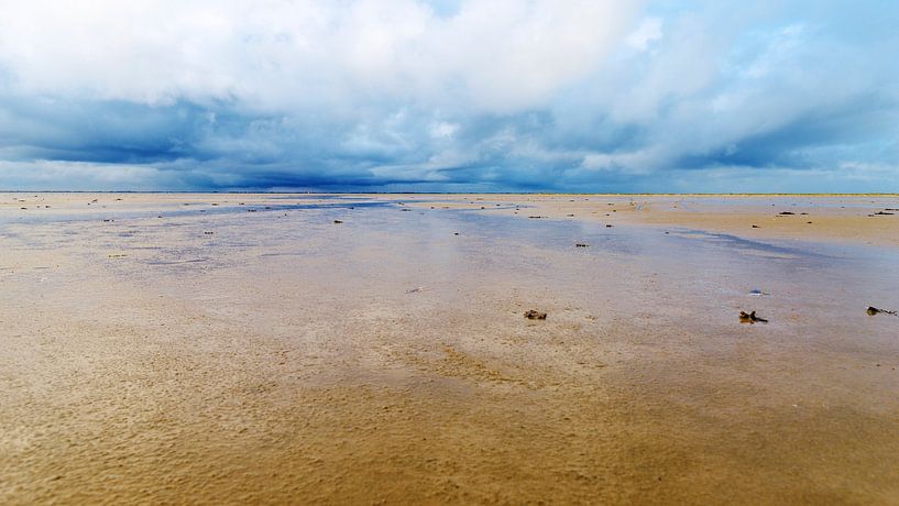 Storm on the mud flats by Dan Photo Shaman