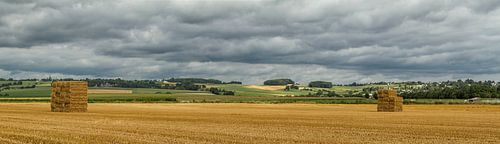 Panorama van de Vrouwenheide en De Huls