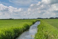 Friesland  landschap