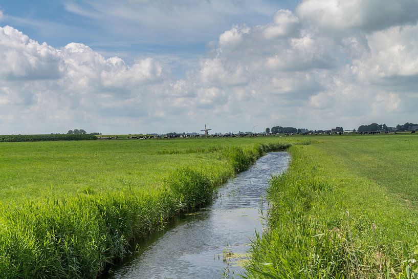 Friesland  landschap van Nicole Nagtegaal