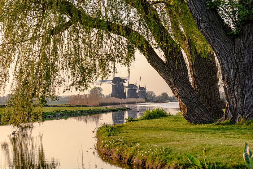 Das Mühlenrennen von Stompwijk. von Jaap van den Berg