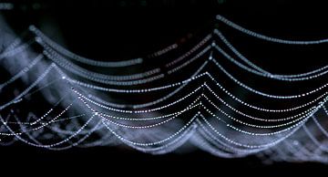spiderweb sur Doriene Ruff - de Jong
