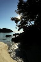 Soleil matinal Parc national d'Abel Tasman