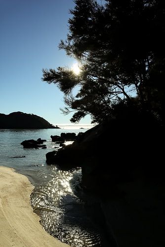 Vroege ochtendzon Abel Tasman National Park