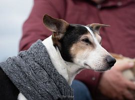 DSC7974 by Bart Verdijk