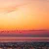 Zonsondergang boven het Wad | Nederland van Marjan Schmit Visser