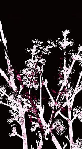 Japanse bloemen