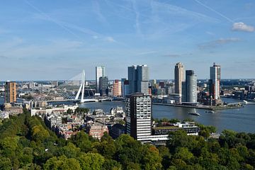 Skyline Rotterdam van Elroy van Bodegom