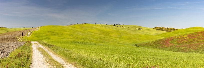 Toskana Panorama von Walter G. Allgöwer