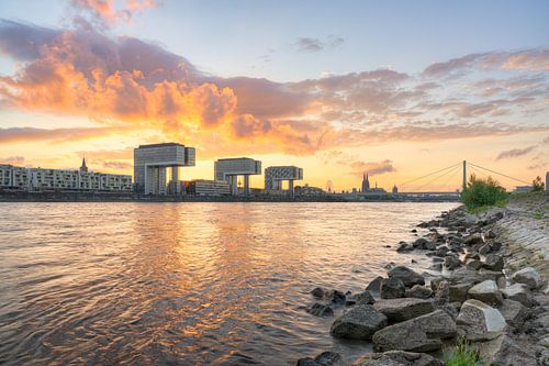 Summer evening in Cologne on the Rhine