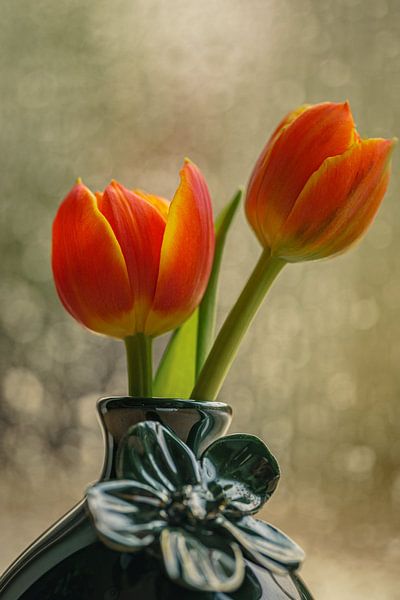 Tulipes par Ingrid van Wolferen