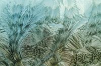Frozen windshield