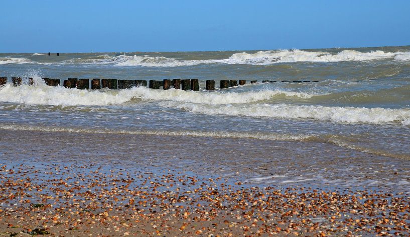 Wellen, Strandstangen und Muscheln Strand Domburg von Jessica Berendsen