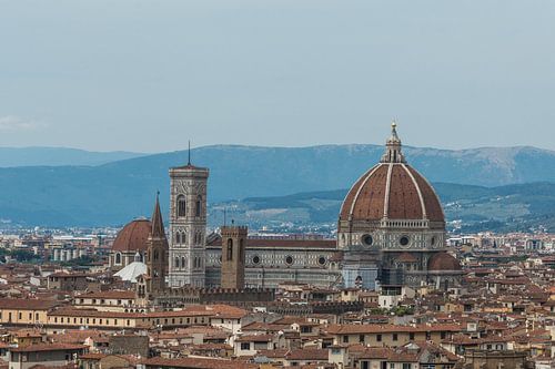 Florence, Fiorentina Italy