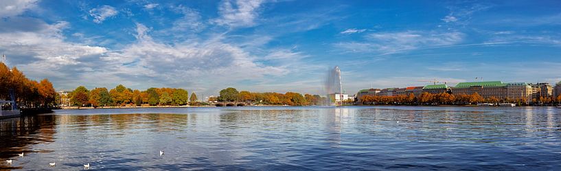 Binnenalster in Hamburg von Dirk Rüter