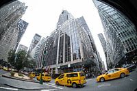 New York yellow cabs