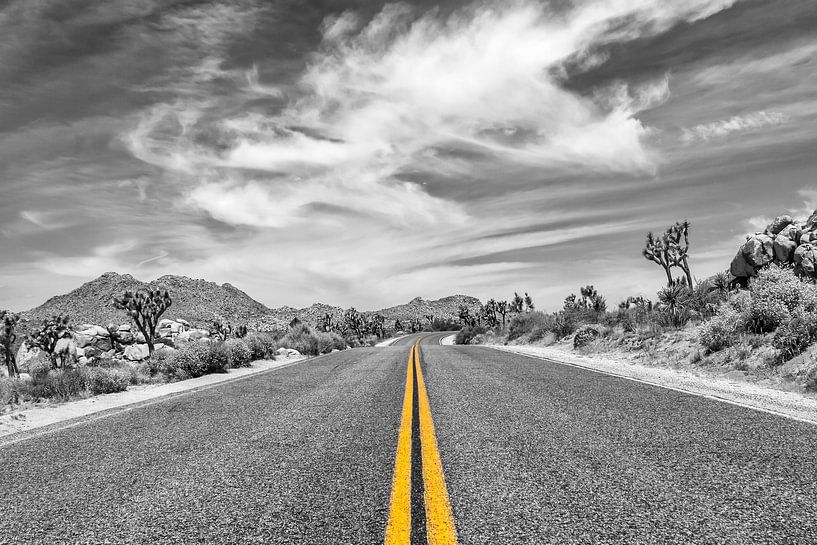 Park Boulevard, Joshua Tree National Park by Melanie Viola