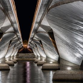 Zwischen den Brücken von Bart Hendrix