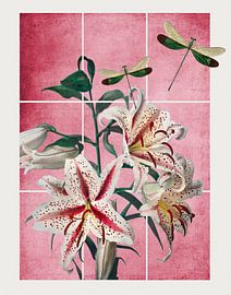 Pink Zen Garden by Marja van den Hurk