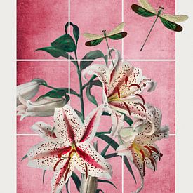 Pink Zen Garden by Marja van den Hurk