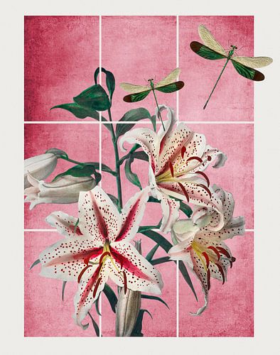 Pink Zen Garden by Marja van den Hurk