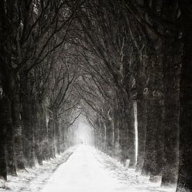 Winter van Henk Leijen