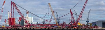 Site de Mammoet avec une paire de grues géantes. sur Jaap van den Berg