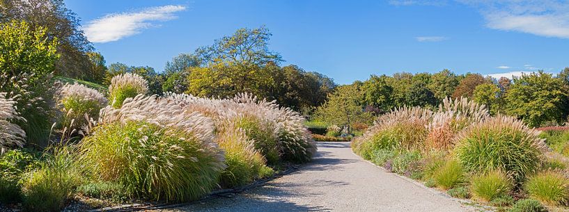 Paysage du parc Westpark Munich par SusaZoom