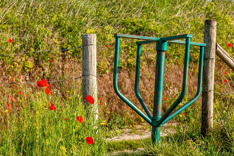 Draaihekje (stegelke) tussen de klaprozen in Zuid-Limburg van John Kreukniet