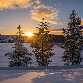 Sonnenuntergang in Schwedisch-Lappland von Daniel Schütte