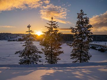 Zonsondergang in Zweeds Lapland van Daniel Schütte
