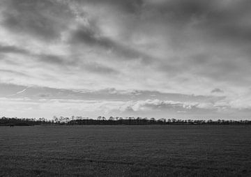 Wijde blik op het landschap. Zwart wit zicht op het weiland. Met aan de horizon een rij bomen. van Lieke van Grinsven van Aarle