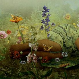 Girl sleeping in a flower meadow