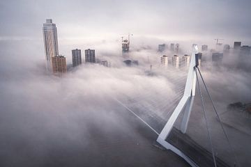Rotterdam dans le brouillard