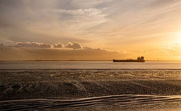 Des lignes subtiles au rythme naturel sur Ria Overbeeke