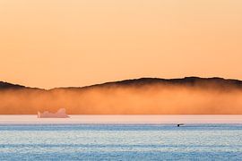 Sunset and whale off the coast of Aasiaat, Greenland by Martijn Smeets