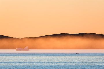 Zonsondergang en walvis voor de kust van Aasiaat, Groenland van Martijn Smeets
